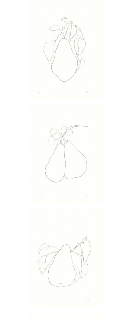 アート・デザイン・音楽 Ellsworth Kelly: Plant Drawings ELLSWORTH KELLY Plant Drawings | Matthew Marks Gallery