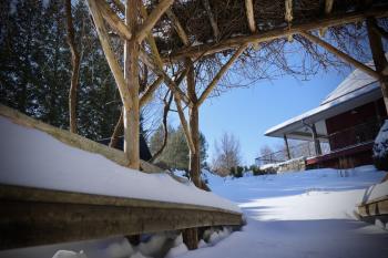 Hern Garden in Winter.