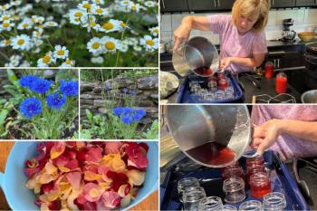 “Bachelor’s Button”, “cornflower”, Feverfew, “Rose Petal Jelly” 
