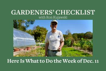 Ron Kujawski at his home garden in West Stockbridge, Mass.