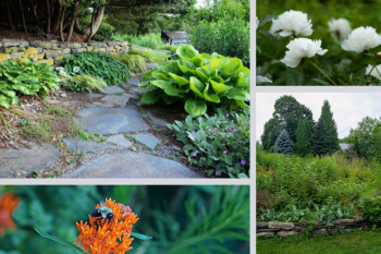 de Gersdorff Perennial Border