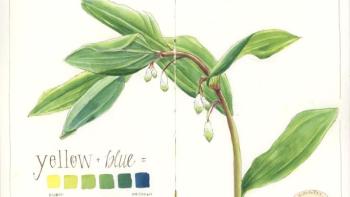Green watercolor plant with details and shaded greens in a key