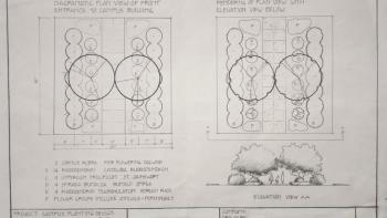 Design with plant selection