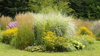 Garden with a bed of perennials surrounded by grass.