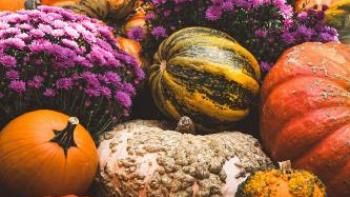 Gourds and chrysanthemums
