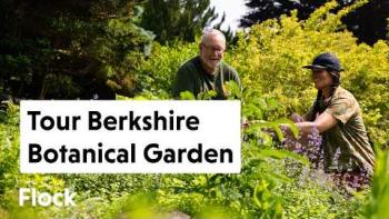 Embedded thumbnail for A Tour of Berkshire Botanical Garden