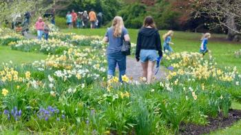 Embedded thumbnail for More than a Walk through Nature