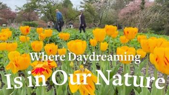 Embedded thumbnail for Daydreaming: It&amp;#039;s in Our Nature