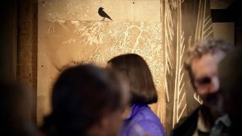 Embedded thumbnail for &amp;quot;Re-Rooted&amp;quot; in the Leonhardt Galleries