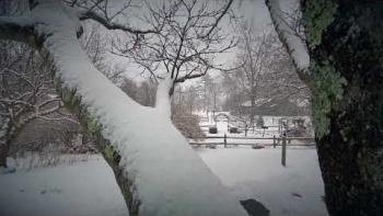 Embedded thumbnail for The Gardens Are Sleeping