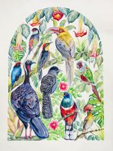 Birds of the Atlantic Forest