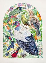 Birds of the Amazon Rainforest