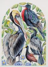 Coastal Cuban Birds