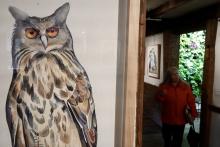 The exhibition "Flock" in the Leonhardt Galleries.