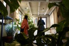 The exhibition "Flock" in the Leonhardt Galleries.